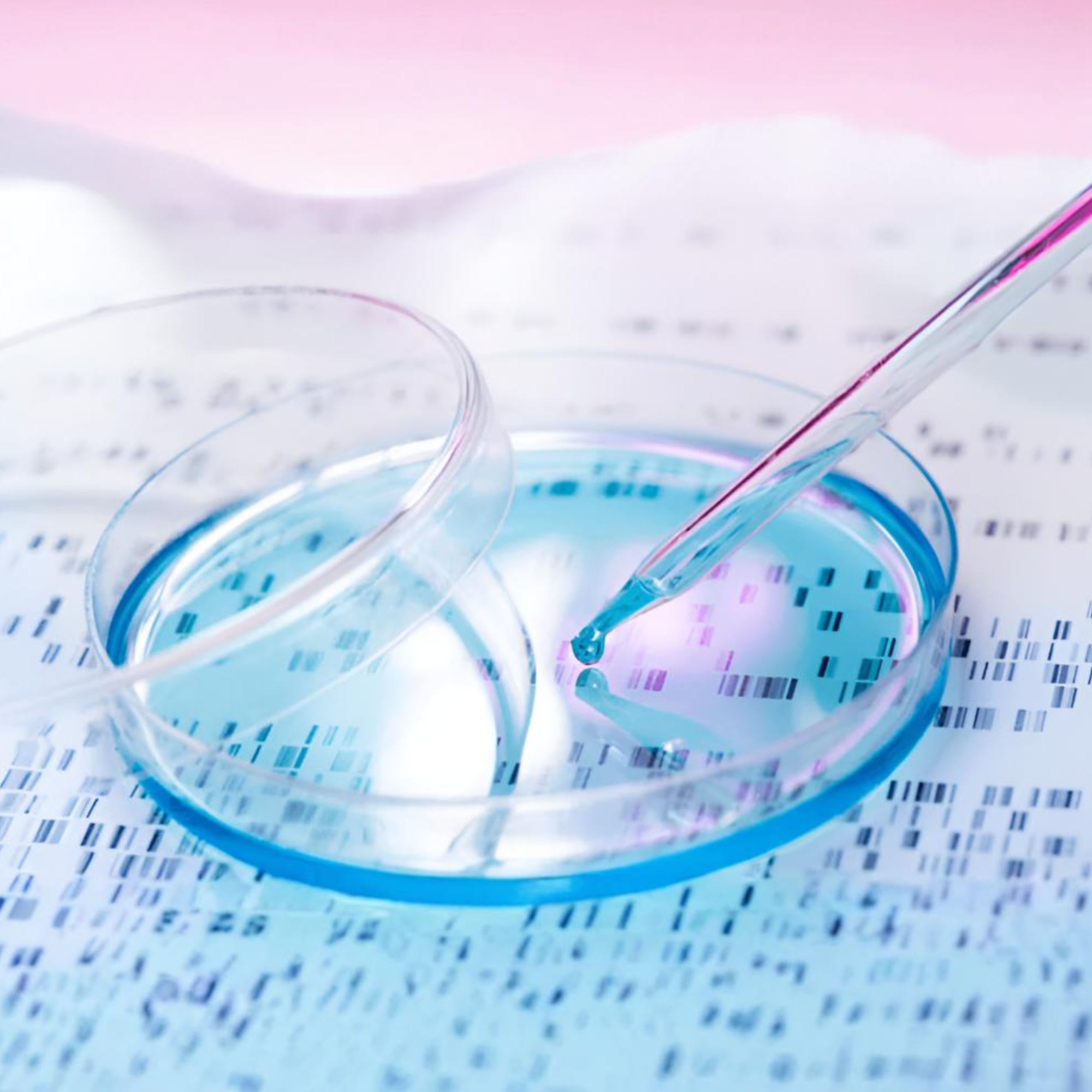 Buy Dry Ice Petri dish